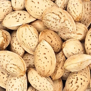 بادام پوست نازک محب