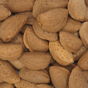 بادام مامایی سامان