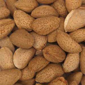 بادام ربیع داخل پوست سامان